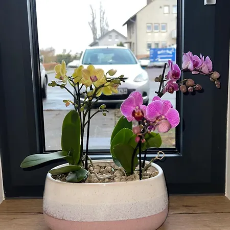 Appartement Paulinen Residenz